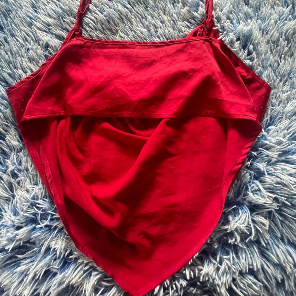 Ruby, Red Crop Top - Picture 4 of 4